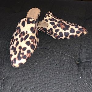 New cheetah Mules!